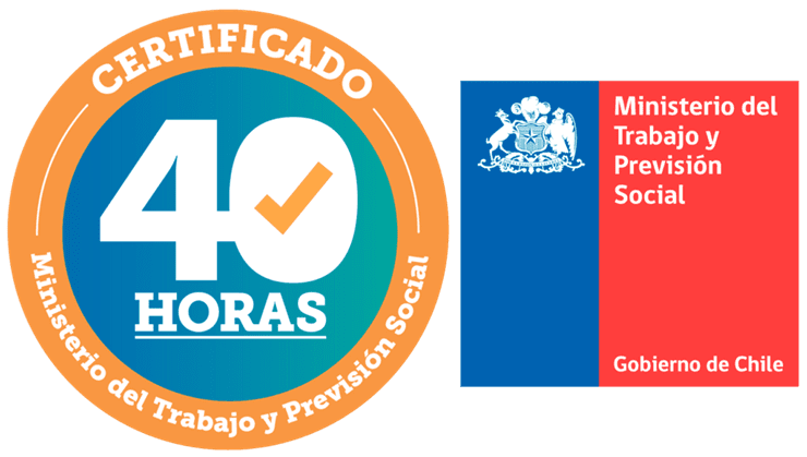 Netsus empresa 40 horas